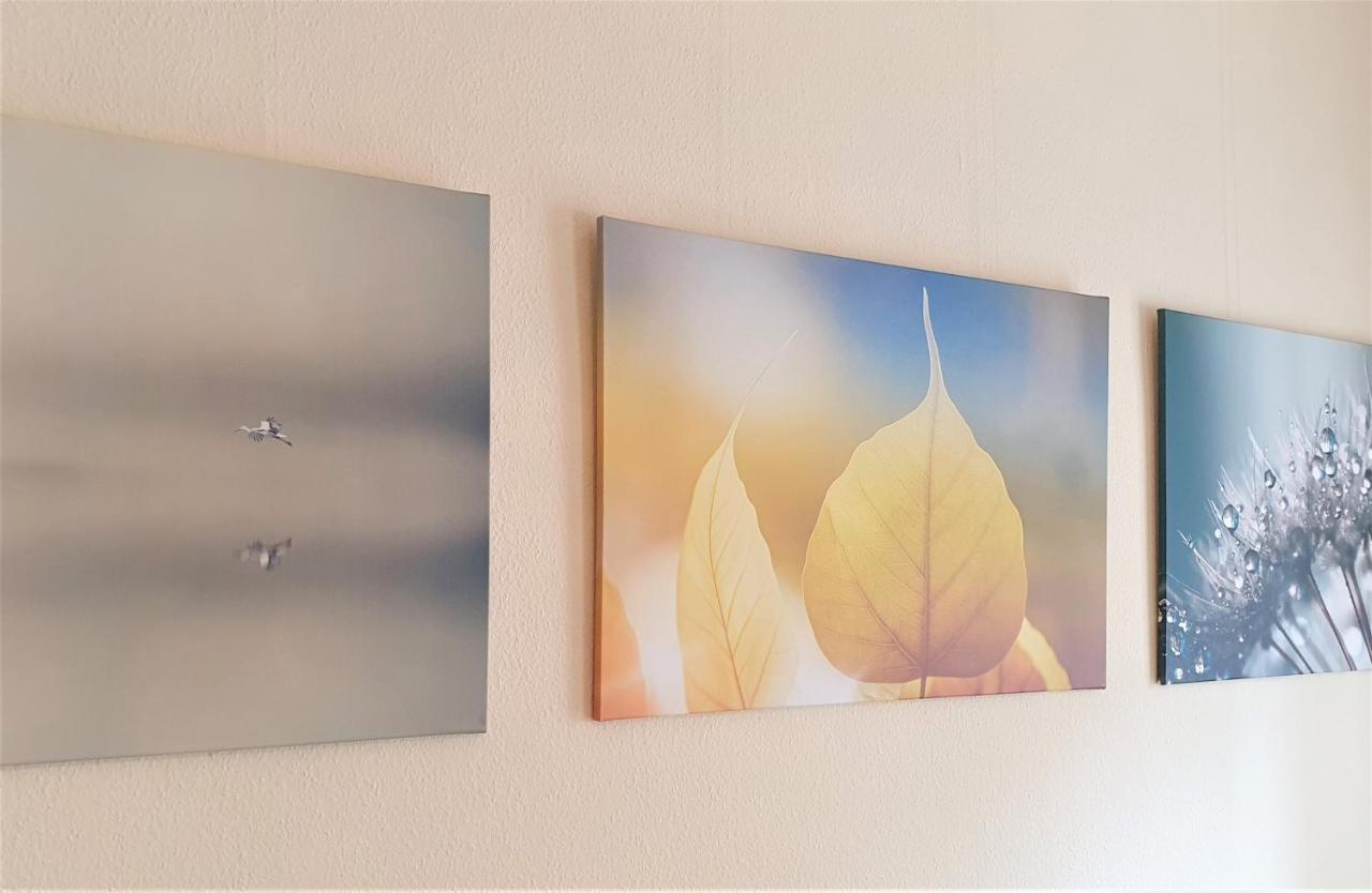 Melarose Feng Shui Hotel Berlin Dış mekan fotoğraf